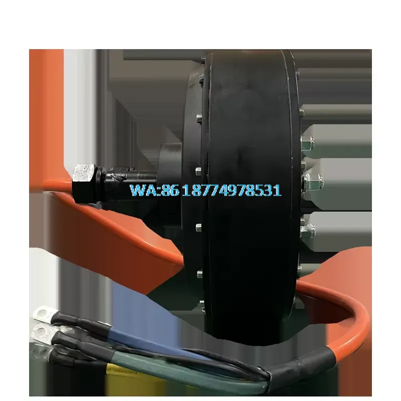 Wmwmnu for QS 273 8000W 72V 50 - Qs Motor 273 8000W Hub Motor review and price